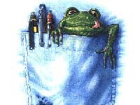 frog in pocket