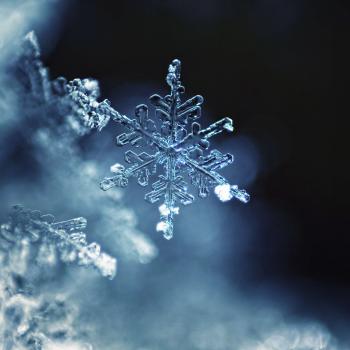 <em>Snowflake Bentley</em> illustrator Mary Azarian was born in 1940.