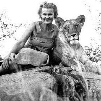 On this day in 1910, animal rights activist Joy Adamson was born.