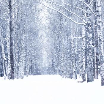 Sonic Patterns: Exploring Poetic Techniques Through Close Reading