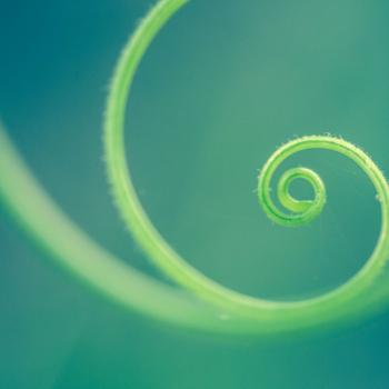 Poetry Circles: Generative Writing Loops Help Students Craft Verse