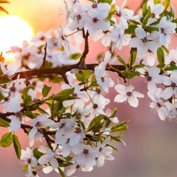 Reading, Writing, Haiku Hiking! A Class Book of Picturesque Poems
