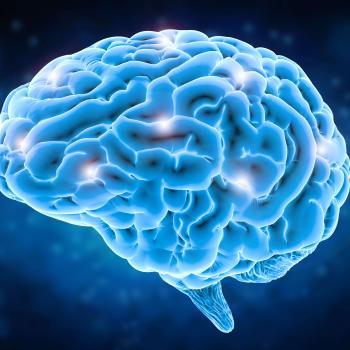 Discovering Memory: Li-Young Lee's Poem "Mnemonic" and the Brain