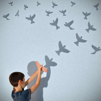 Casting Shadows Across Literacy and Science