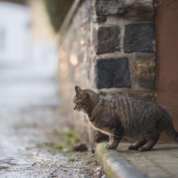 When Less IS MoreUnderstanding Minimalist Fiction