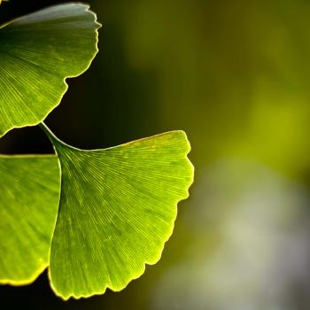 Lonely as a Cloud: Using Poetry to Understand Similes