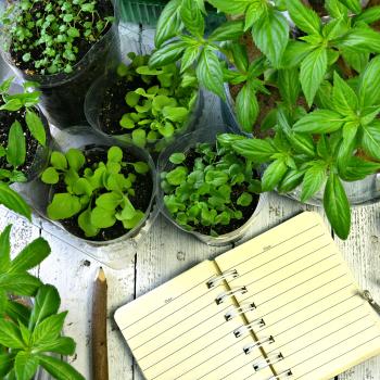 How Does My Garden Grow? Writing in Science Field Journals