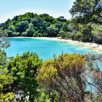 Learning Vocabulary Down By the Bay