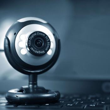 Webcams in the Classroom: Animal Inquiry and Observation