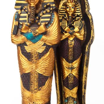 Guided Comprehension: Monitoring Using the INSERT Technique