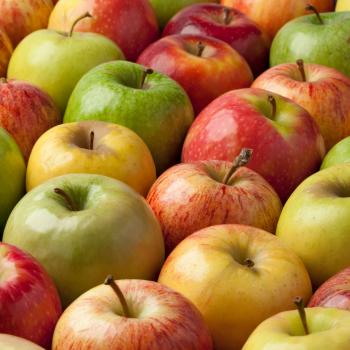 A is for Apple: Building Letter-Recognition Fluency