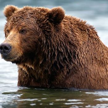 Alaska Native Stories: Using Narrative to Introduce Expository Text