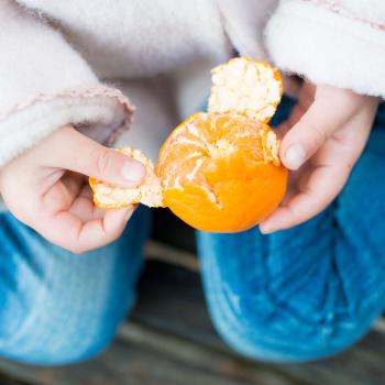Cosmic Oranges: Observation and Inquiry Through Descriptive Writing and Art