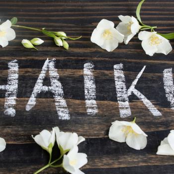 Animate that Haiku!