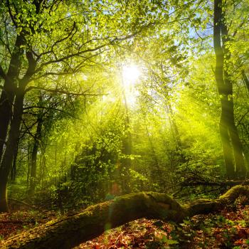 Defining Moments: Charting Character Evolution in <i>Lord of the Flies</i>