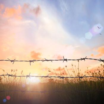 <i>Life is Beautiful</i>: Teaching the Holocaust through Film with Complementary Texts