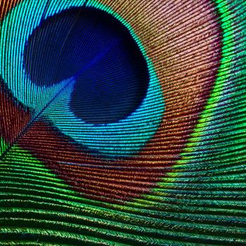 Creative Writing in the Natural World: A Framing