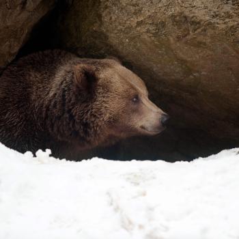 Writing Acrostic Poems with Thematically Related Texts in the Content Areas