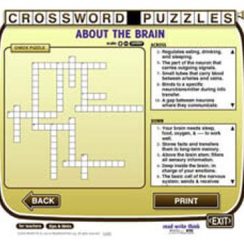 Crossword Puzzles