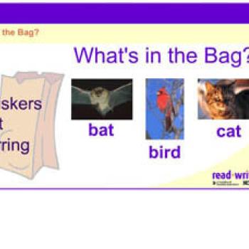What's in the Bag?