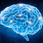 Discovering Memory: Li-Young Lee's Poem "Mnemonic" and the Brain