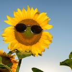 Dancing Minds and Shouting Smiles: Teaching Personification Through Poetry