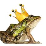 Composing Cinquain Poems: A Quick-Writing Activity